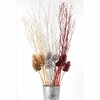 Second Nature Assorted Branches and Pinecones Indoor Christmas Decor 08444